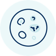 Hautlotse  Psoriasis